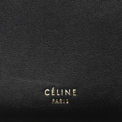 Celine Patina Box Calfskin Medium Clasp Bag Black 8 of 16