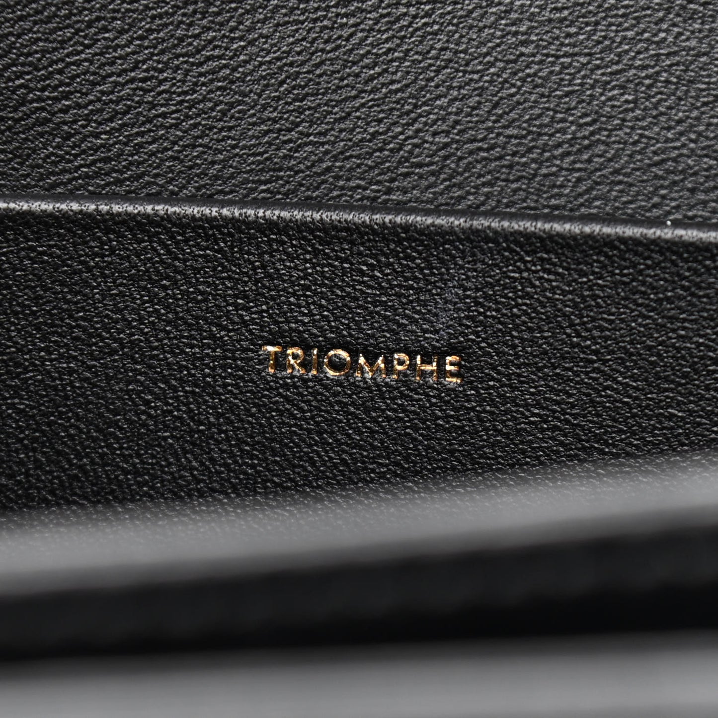 Shiny Calfskin Medium Triomphe Black