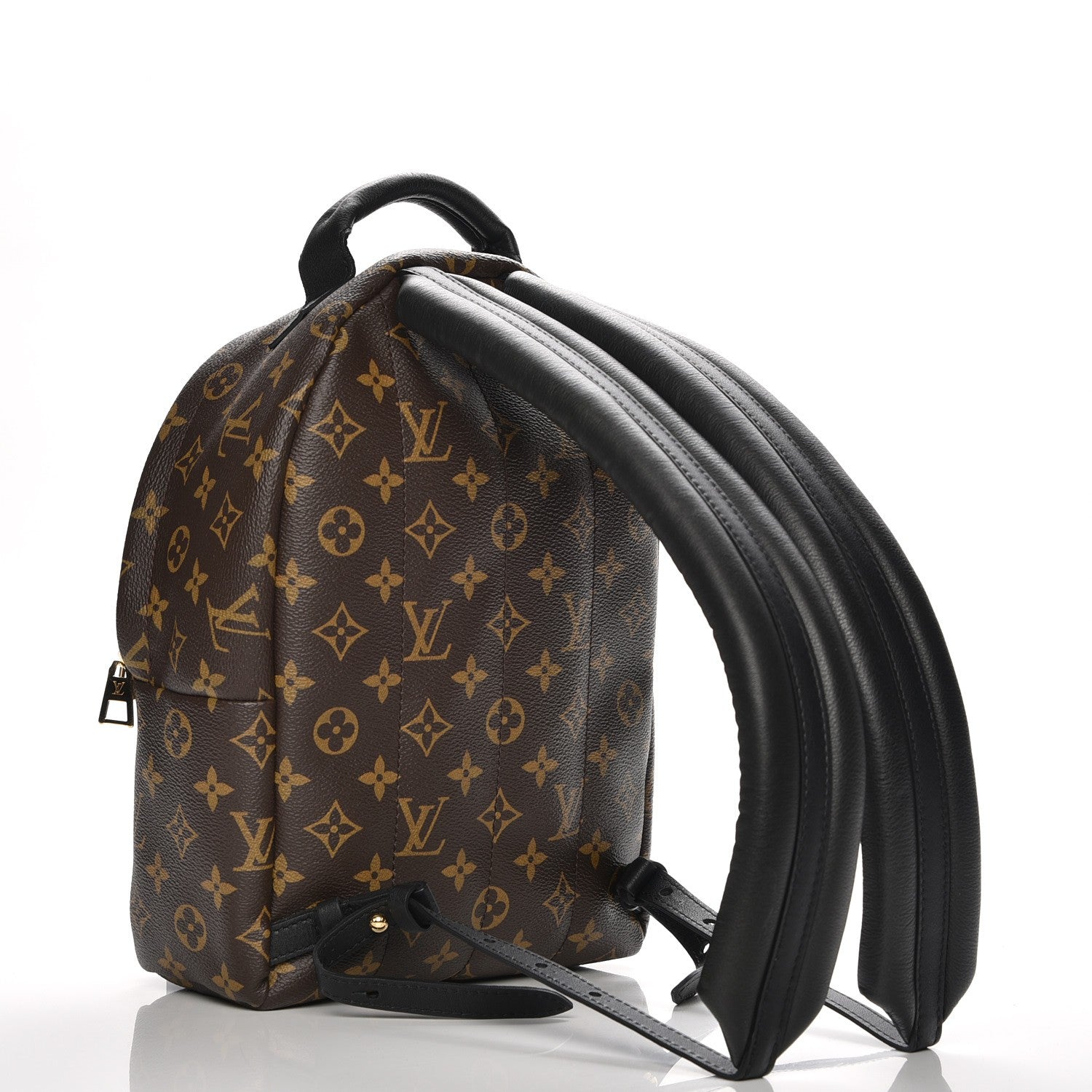 Louis Vuitton Monogram Palm Springs Backpack PM 3 of 8
