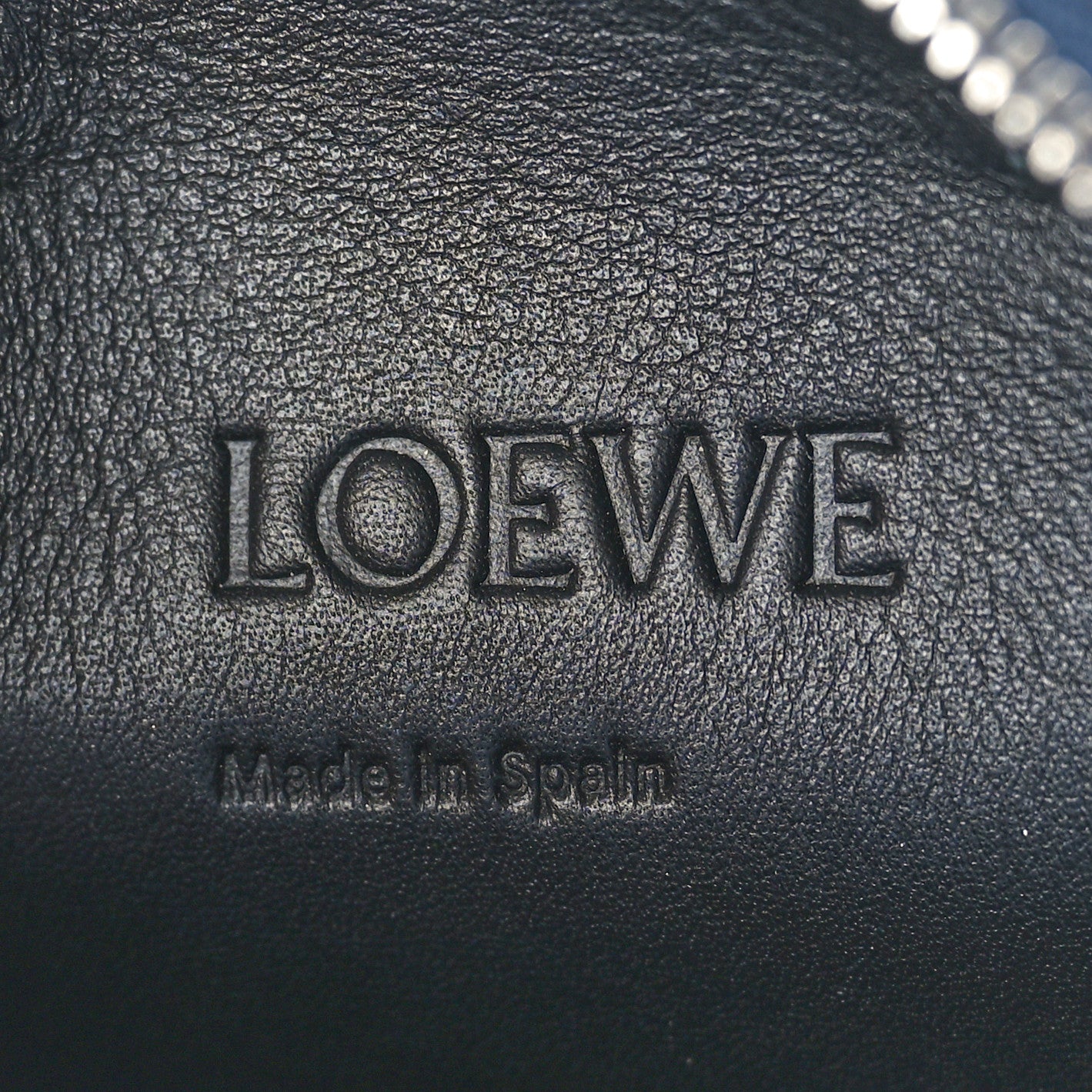Loewe Raffia Calfskin Paula's Ibiza Turtle Pouch Ocean Multicolor 6 of 13
