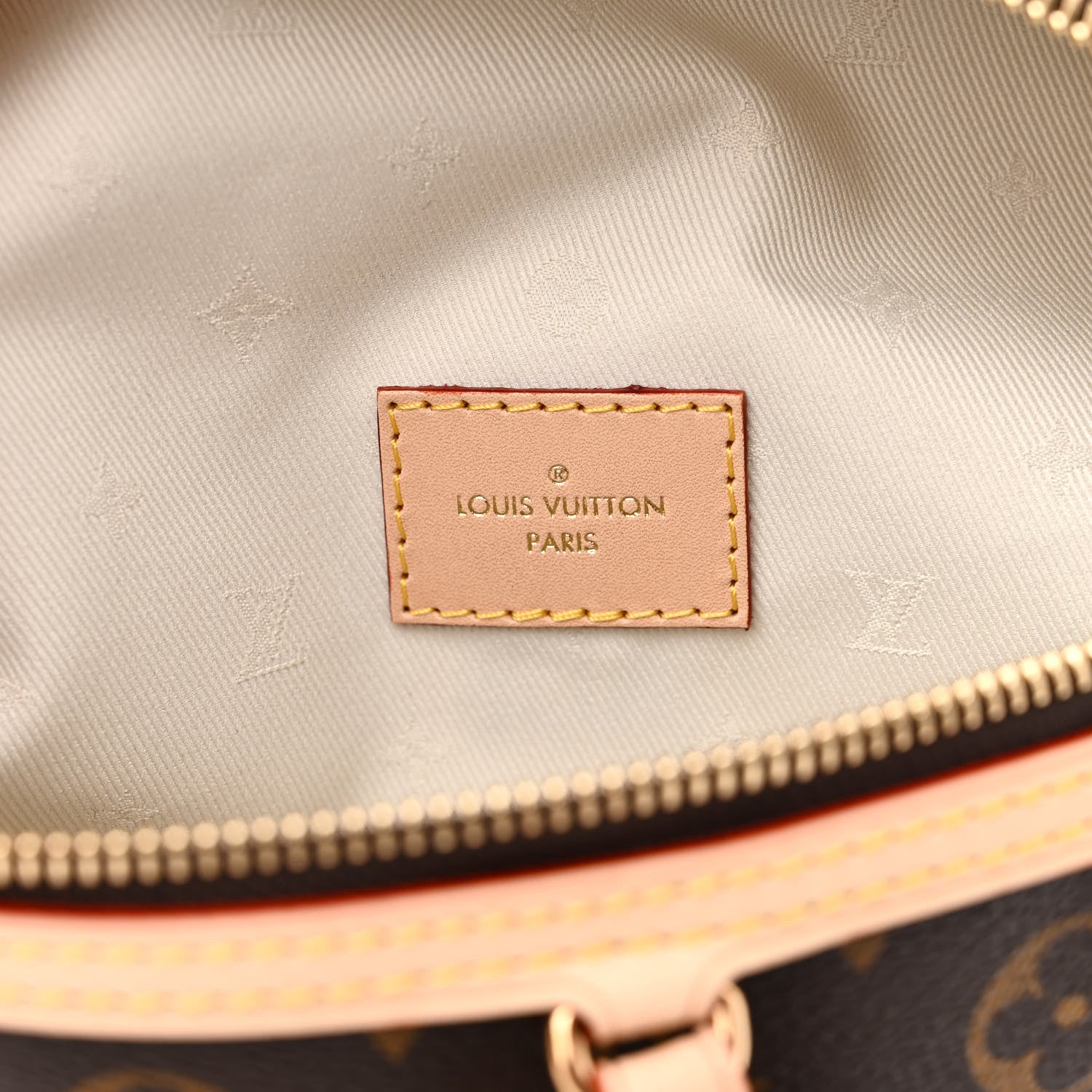 Louis Vuitton Monogram High Rise Bumbag 6 of 9