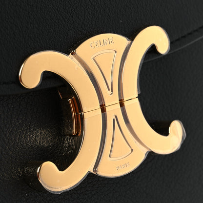 Celine Supple Calfskin Medium Nino Black 13 of 13