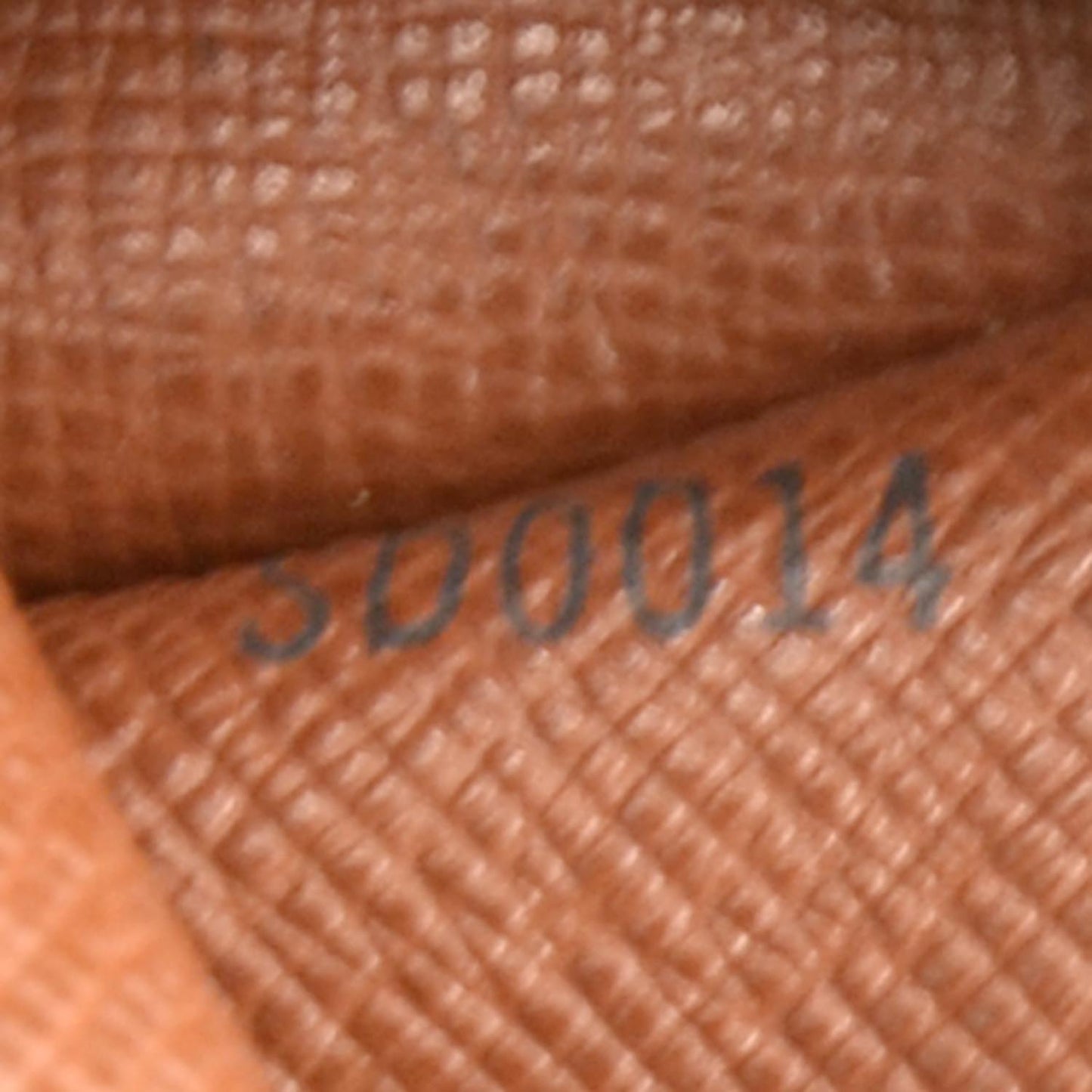 Monogram Papillon 26