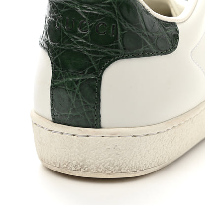 Gucci Calfskin Crocodile Web Womens Ace Sneakers 37 White Green 20 of 21