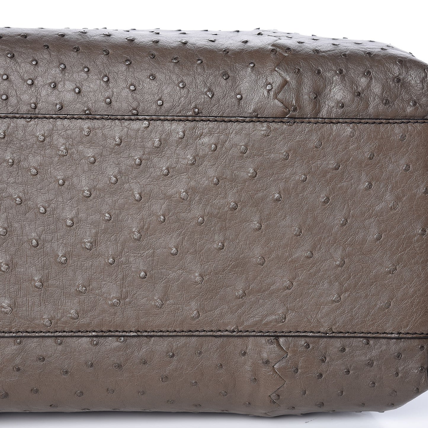Ostrich Small Roma Tote Brown