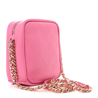 Chanel Goatskin Stitched Casual Trip North South Camera Case Pink 3 of 10