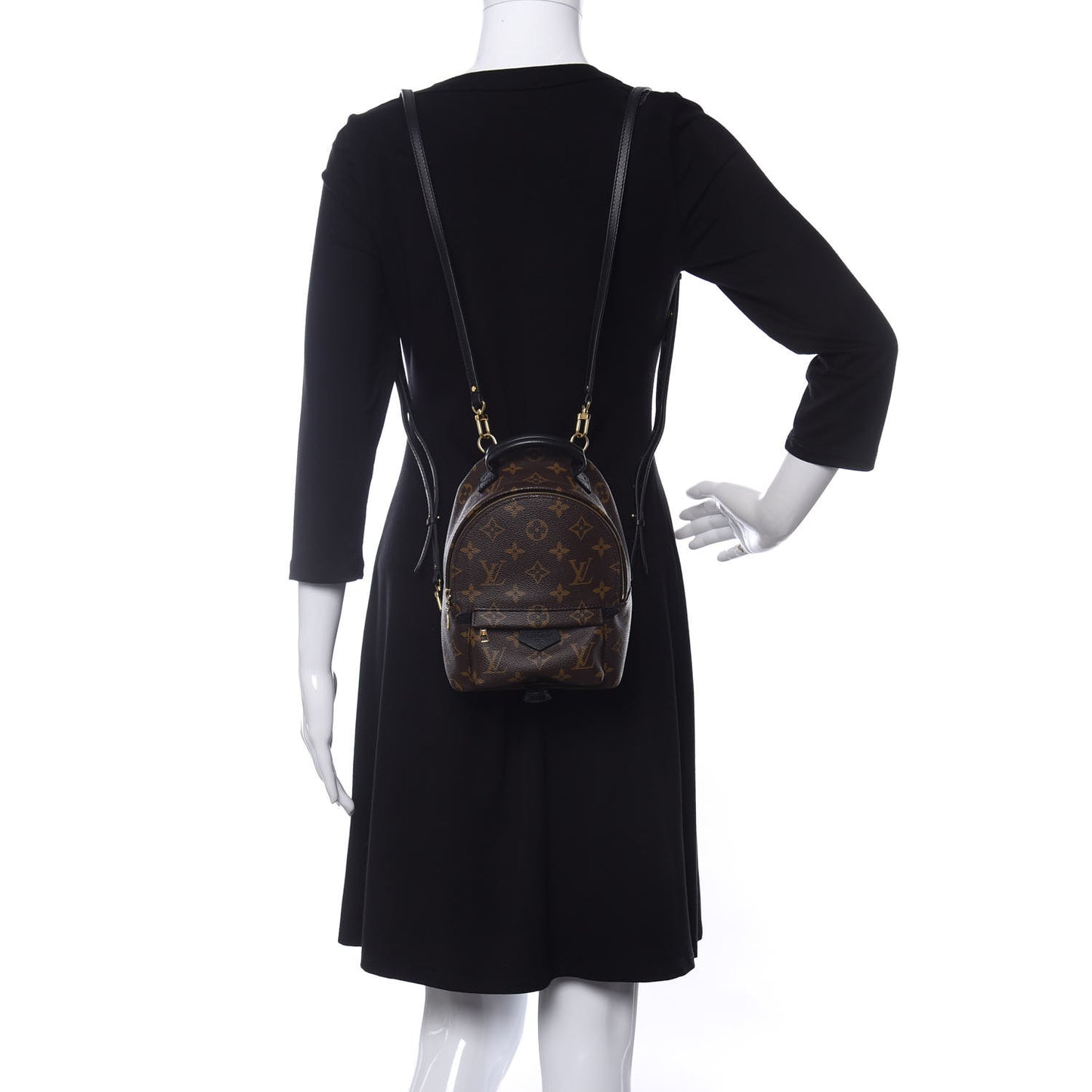 Monogram Palm Springs Backpack Mini