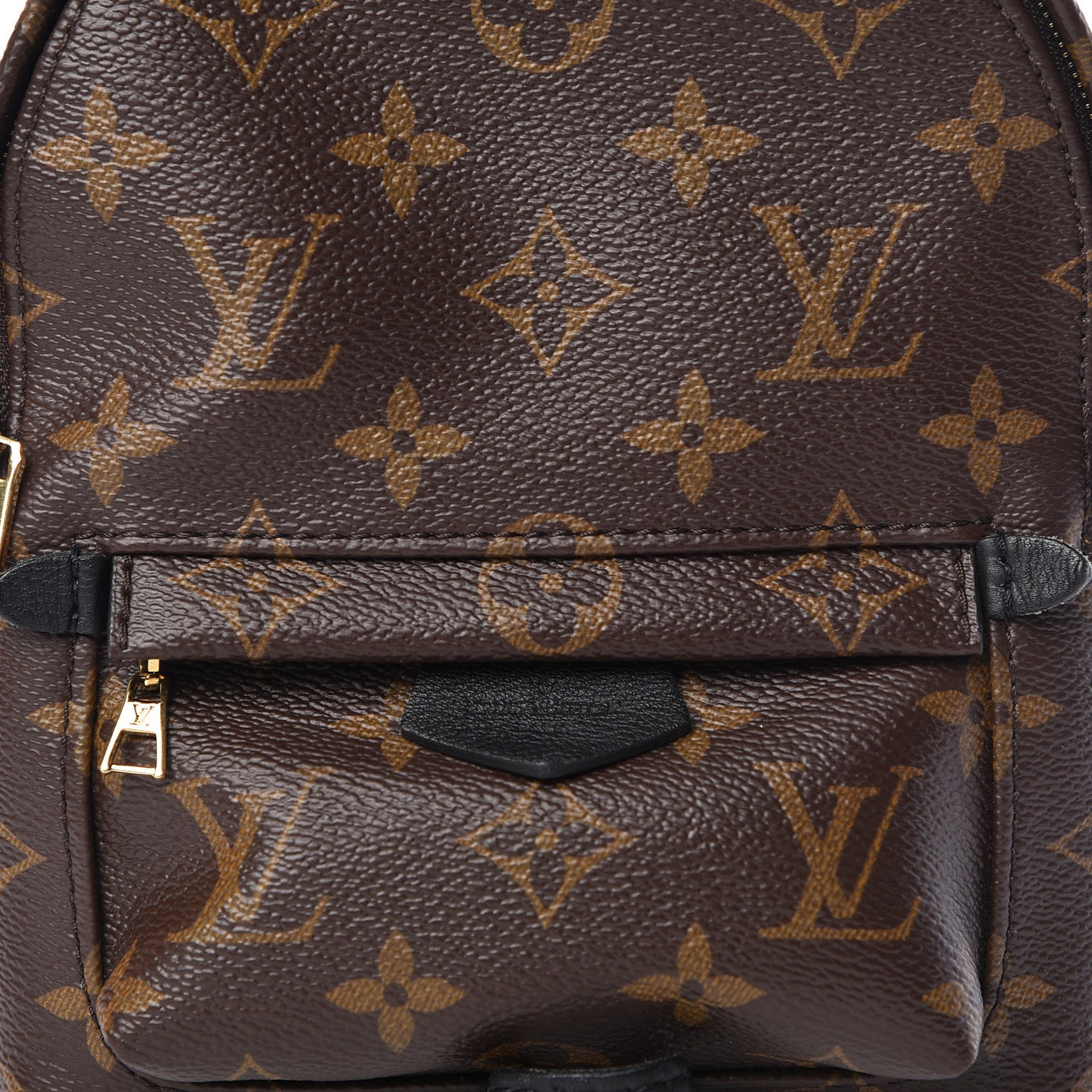 Monogram Palm Springs Backpack Mini