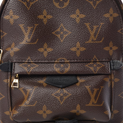 Louis Vuitton Monogram Palm Springs Backpack Mini 14 of 15
