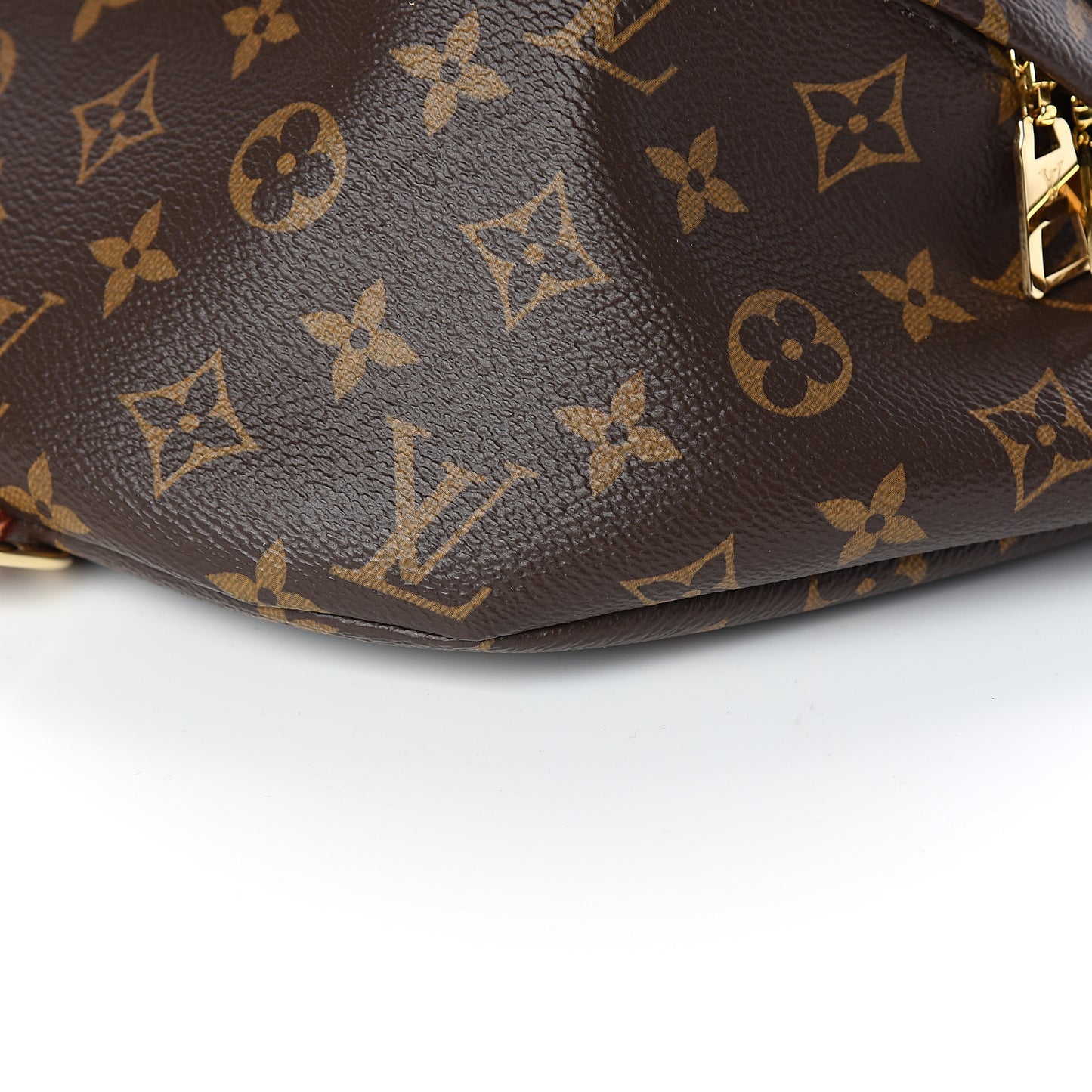 Monogram Bumbag