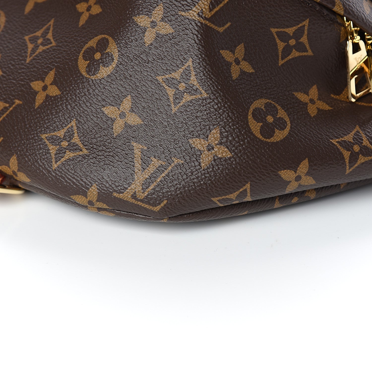 Louis Vuitton Monogram Bumbag 8 of 9