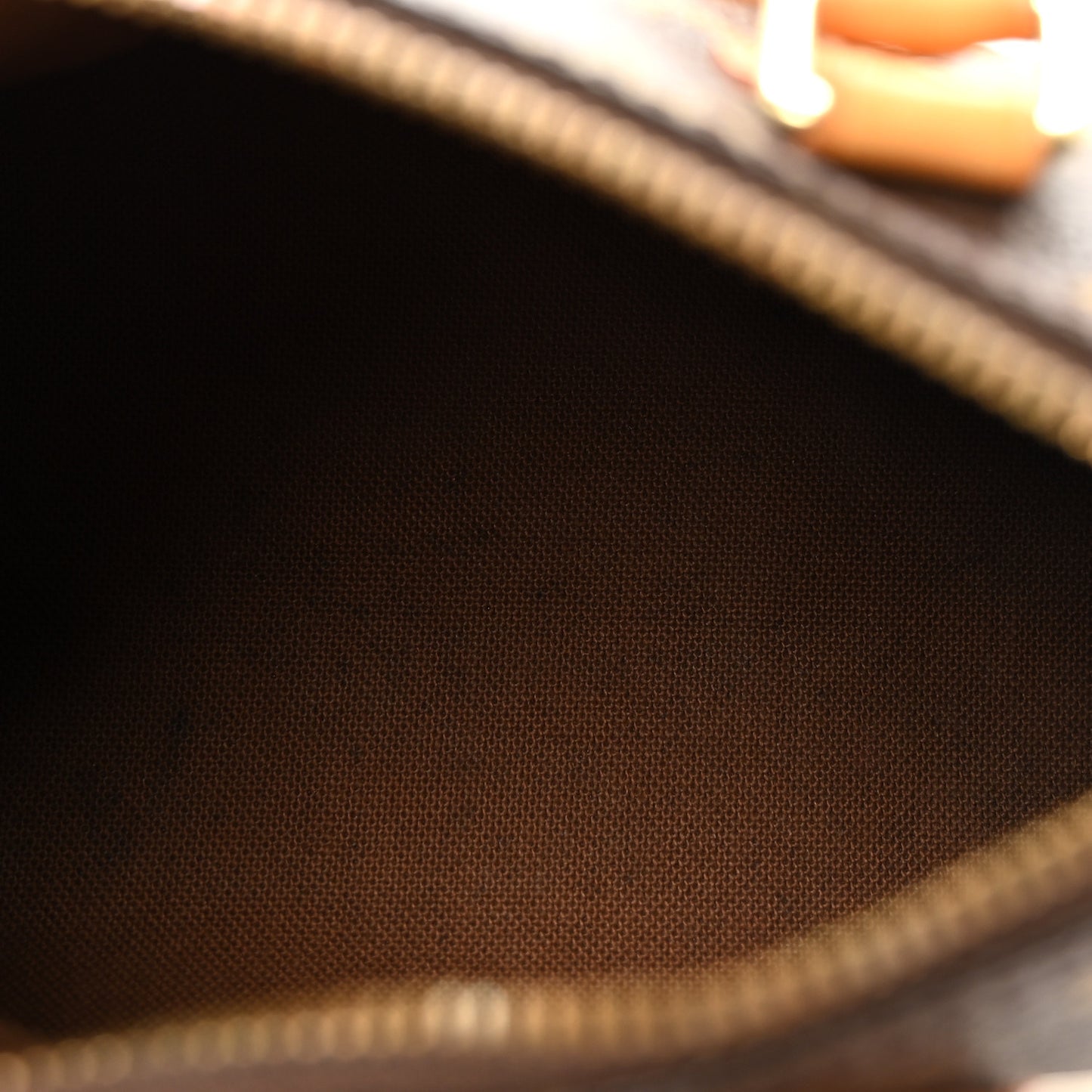 Monogram Mini Sac HL Speedy