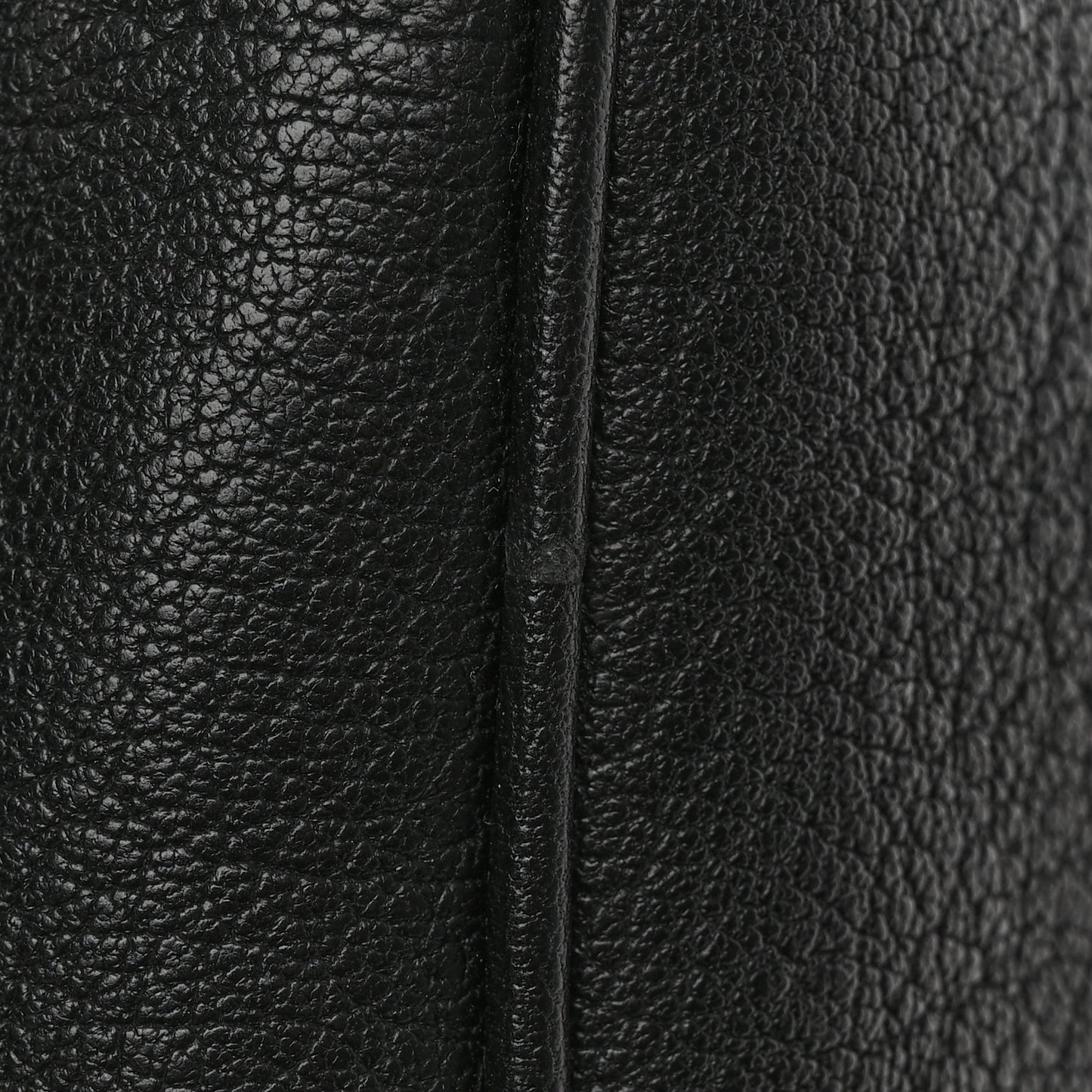 Grained Lambskin Monogram Lou Camera Bag Black