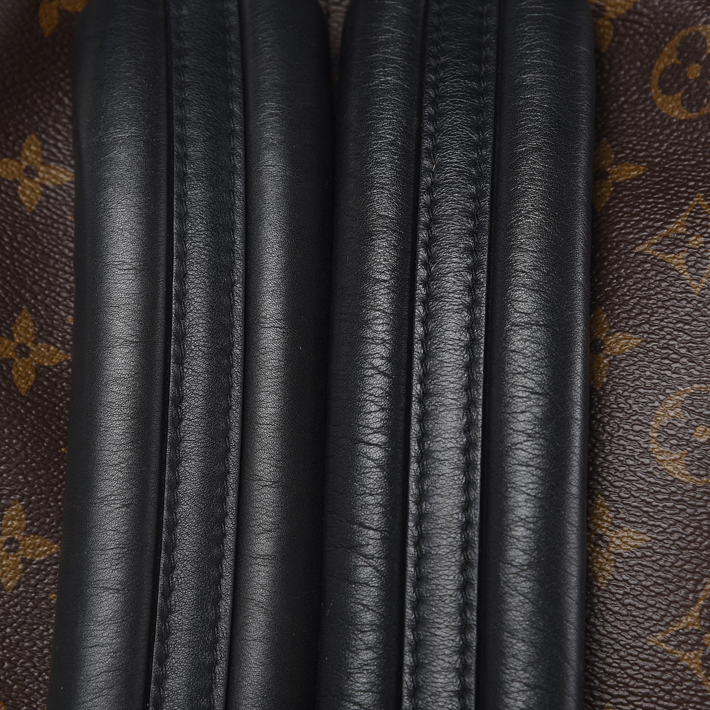 Monogram Palm Springs Backpack MM