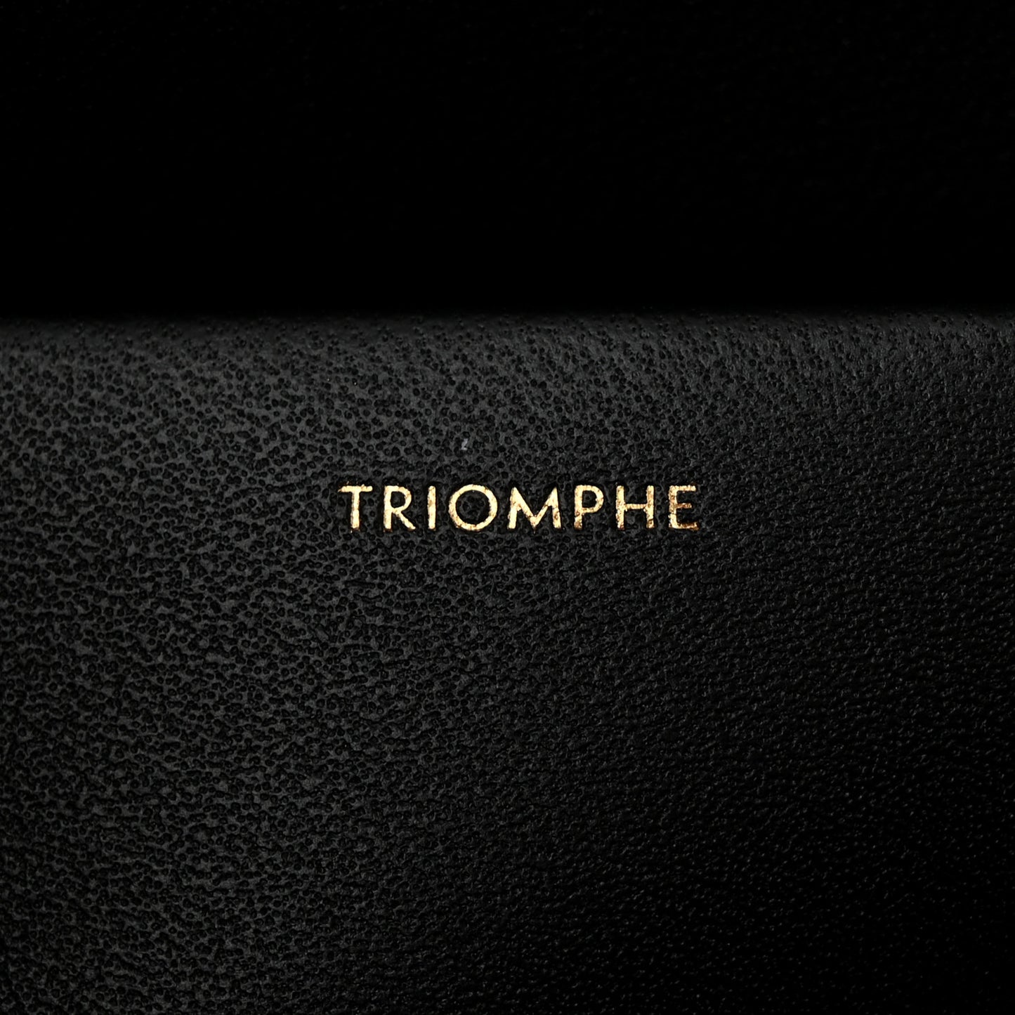 Shiny Calfskin Medium Triomphe Black