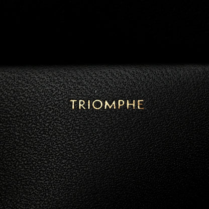 Celine Shiny Calfskin Medium Triomphe Black 7 of 11