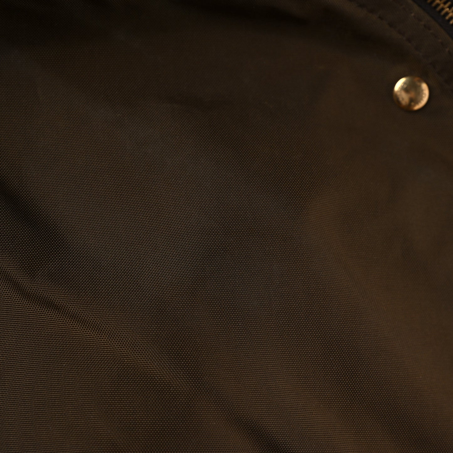 Monogram Garment Bag