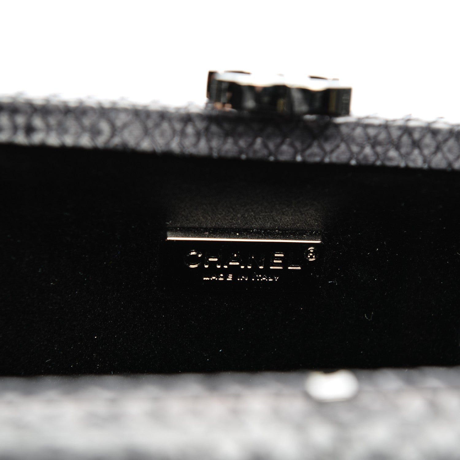 Chanel Python Chain Clutch Dark Silver 6 of 8