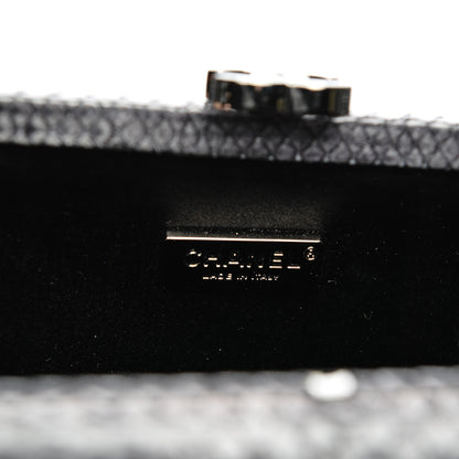 Chanel Python Chain Clutch Dark Silver 6 of 8