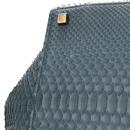 Celine Snakeskin Medium Phantom Luggage Grey 22 of 22