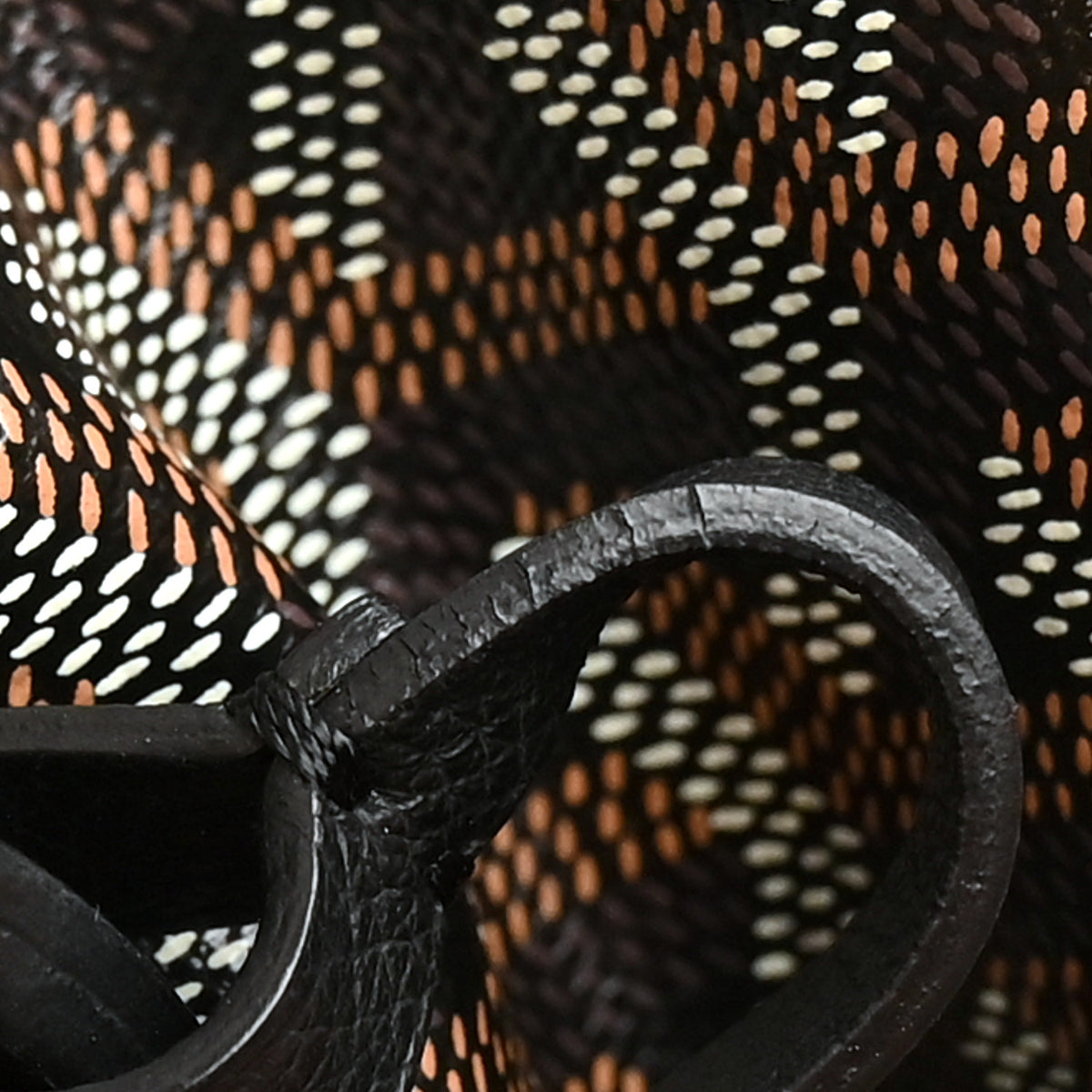 Goyard Goyardine Saint Louis PM Black 10 of 11