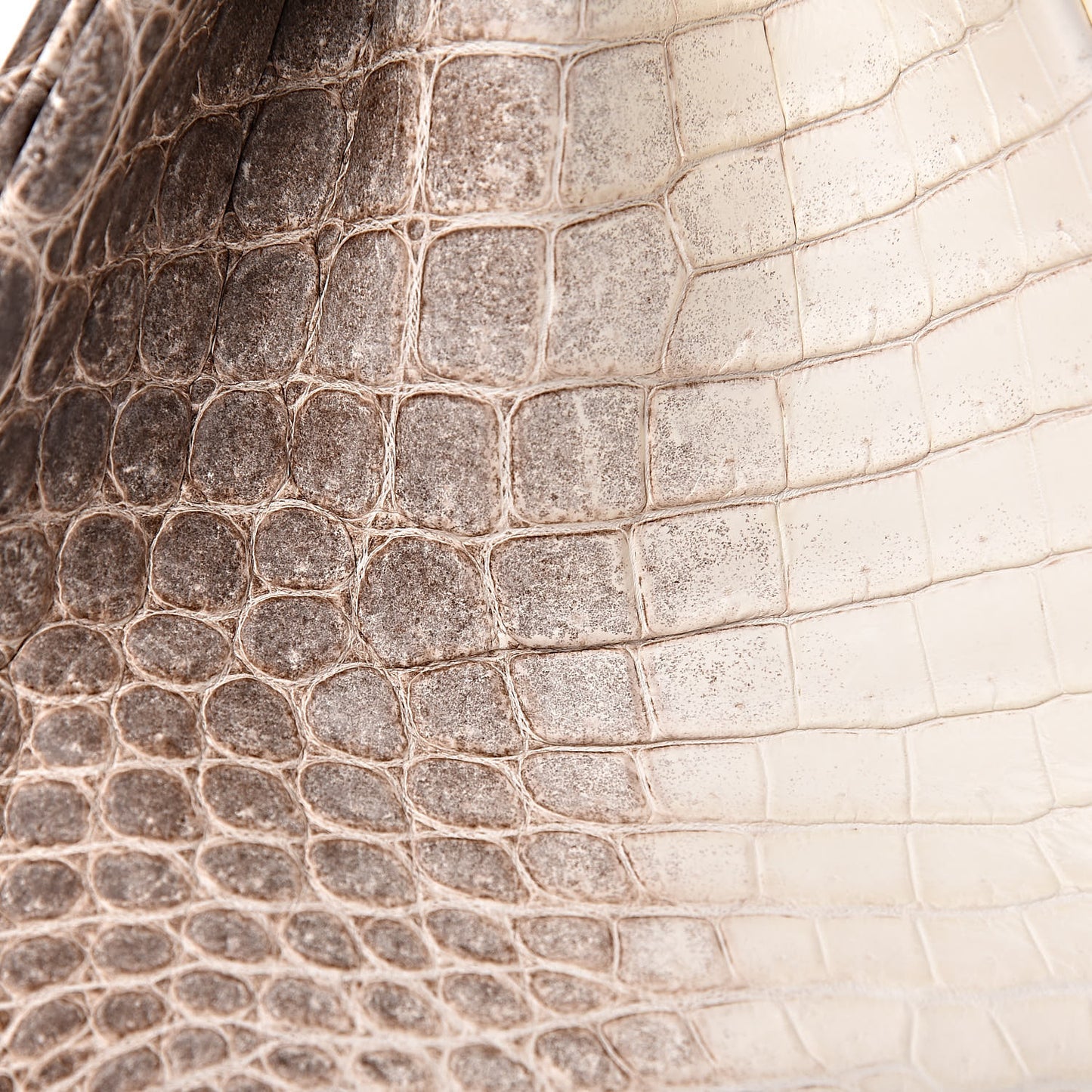 Matte Niloticus Crocodile Himalaya Birkin 30 Blanc