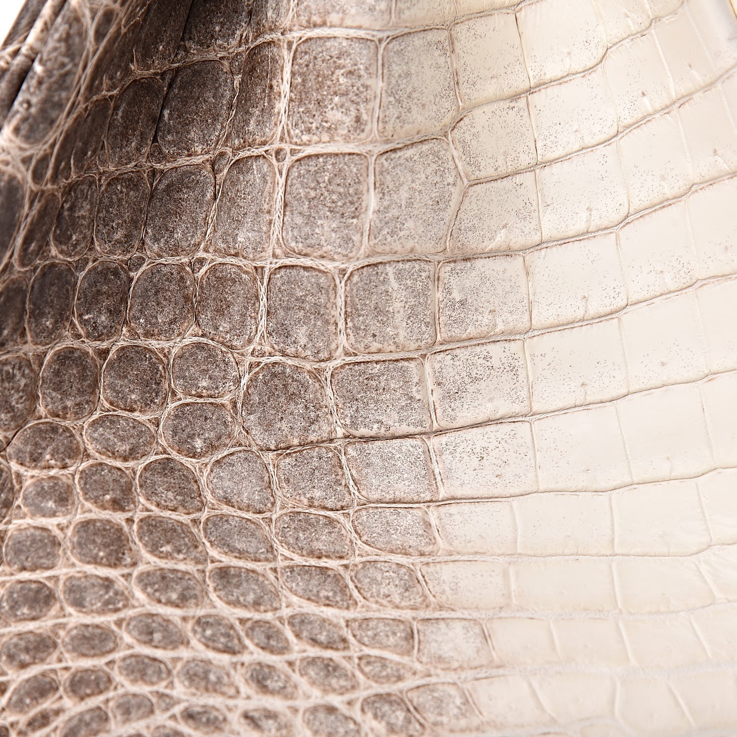 Hermes Matte Niloticus Crocodile Himalaya Birkin 30 Blanc 43 of 56