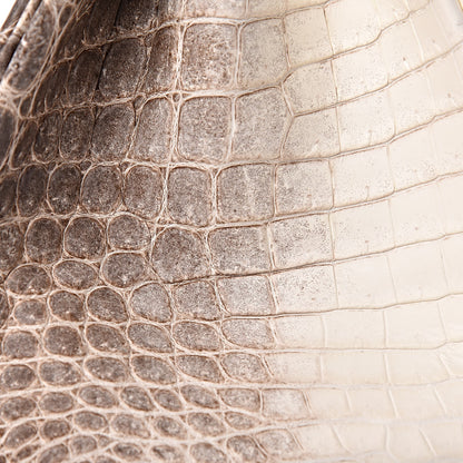 Hermes Matte Niloticus Crocodile Himalaya Birkin 30 Blanc 43 of 56