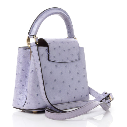 Louis Vuitton Ostrich Capucines Mini Grey 3 of 11