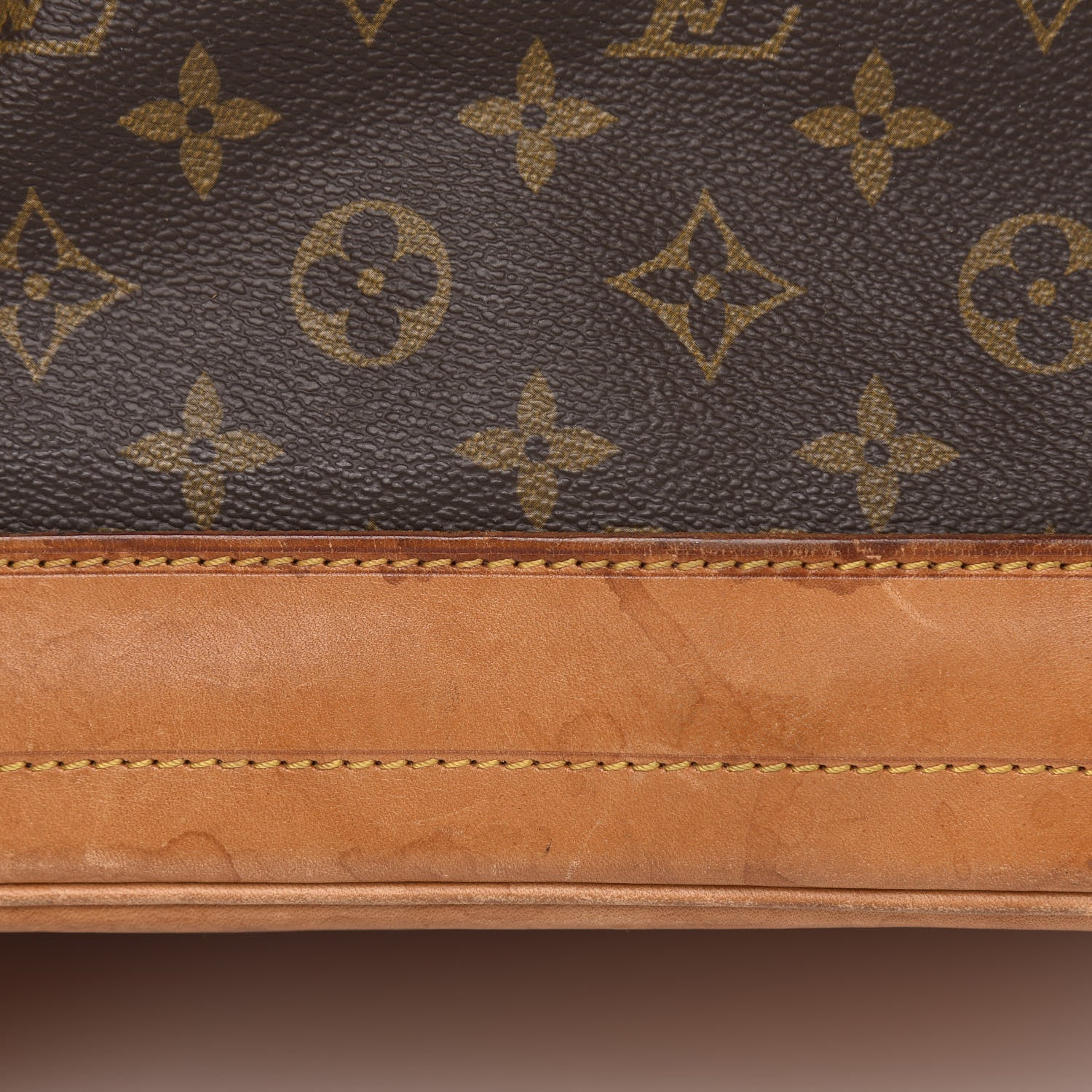 Louis Vuitton Monogram Petit Noe NM 13 of 14