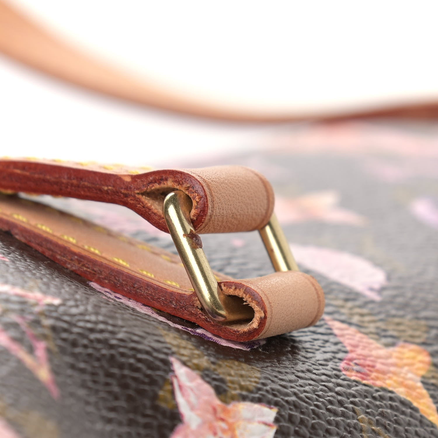Louis Vuitton Watercolor Aquarelle Papillon 11 of 11