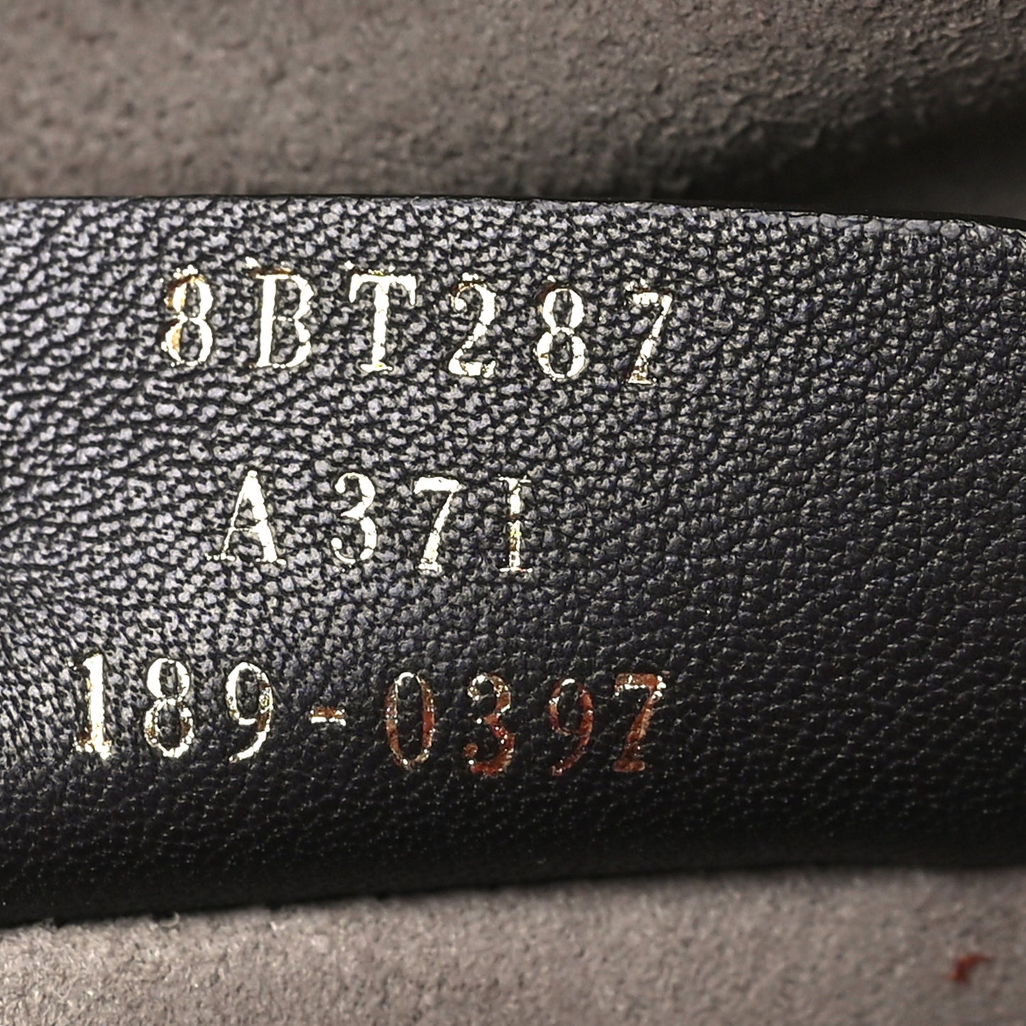 Vitello Century F is Fendi Camera Case Fiamma