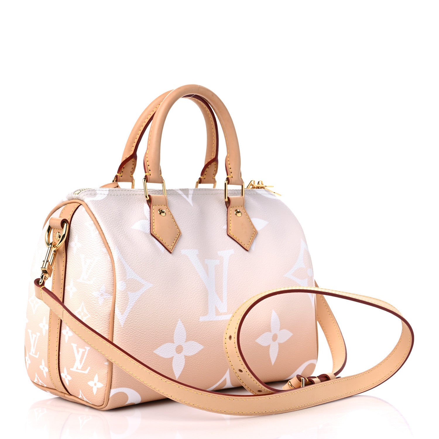 Louis Vuitton Monogram Giant By The Pool Speedy Bandouliere 25 Brume 3 of 11