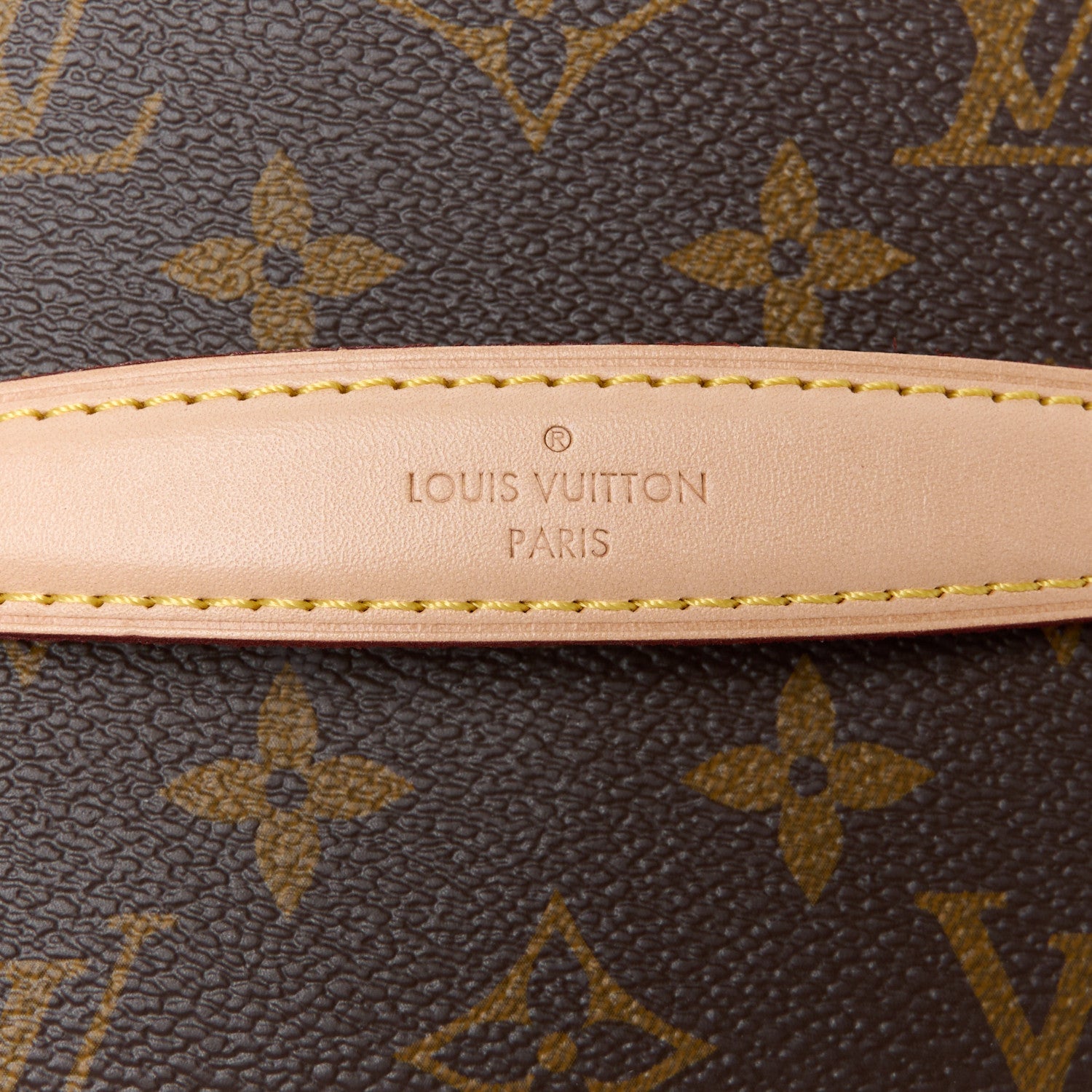 Louis Vuitton Monogram Nice Mini 7 of 11