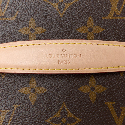 Louis Vuitton Monogram Nice Mini 7 of 11