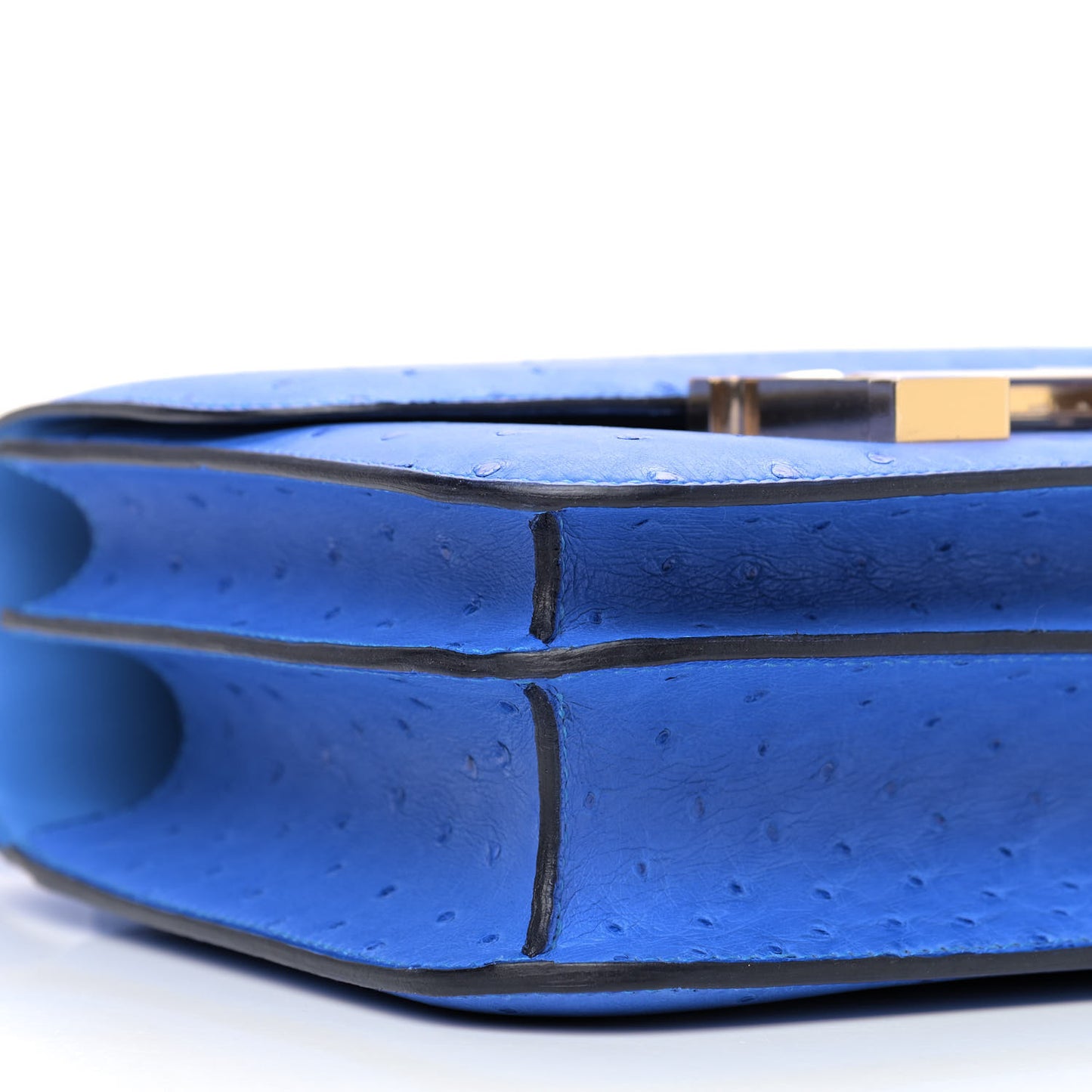 Ostrich Constance 24 Bleuet