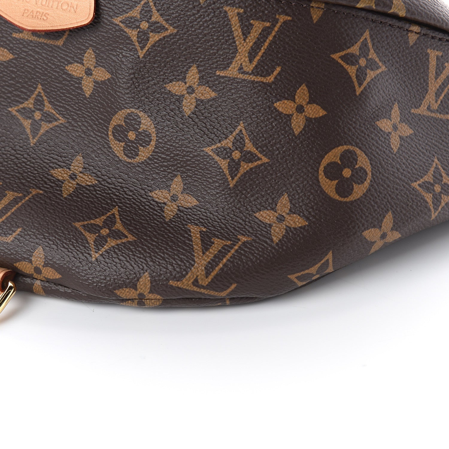Louis Vuitton Monogram Bumbag 6 of 6