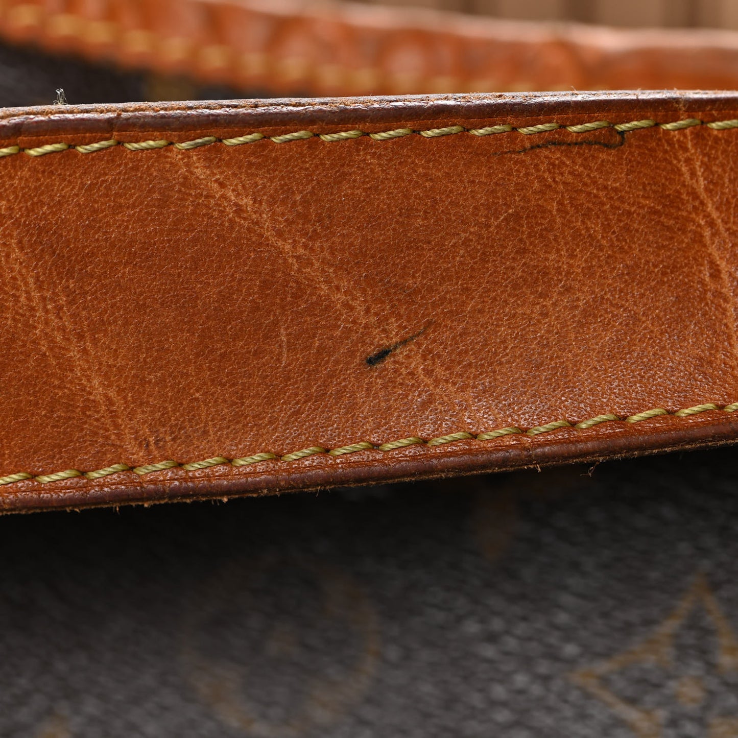 Monogram Delightful MM