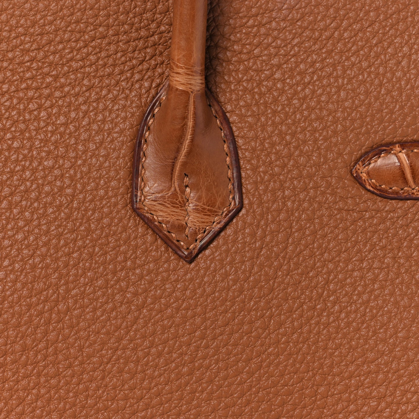 Togo Matte Alligator Birkin Touch 25 Gold