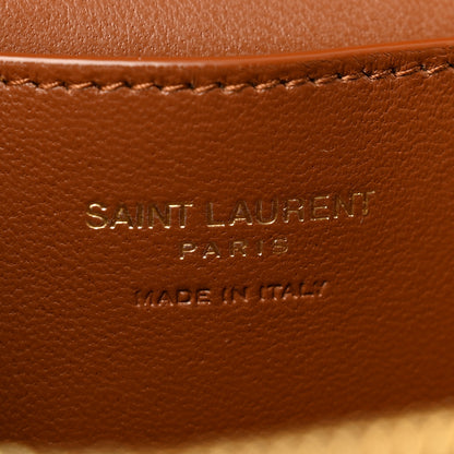Saint Laurent Canvas Calfskin Mini Gaby Vanity Case Desert Dust Brick 6 of 12