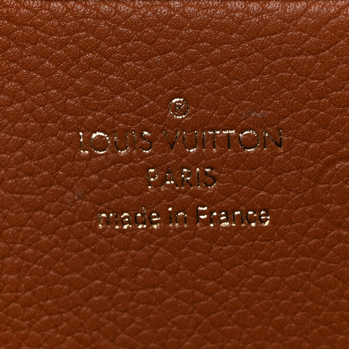 Monogram Eden MM Camel