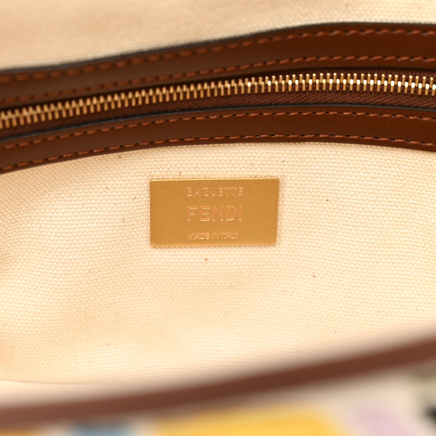 X SARA COLEMAN Canvas Vitello King Seta FF Fish Eye Embroidered Baguette Grezzo Multicolor Ghianda