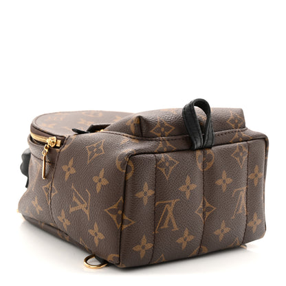 Louis Vuitton Monogram Palm Springs Backpack Mini 4 of 9