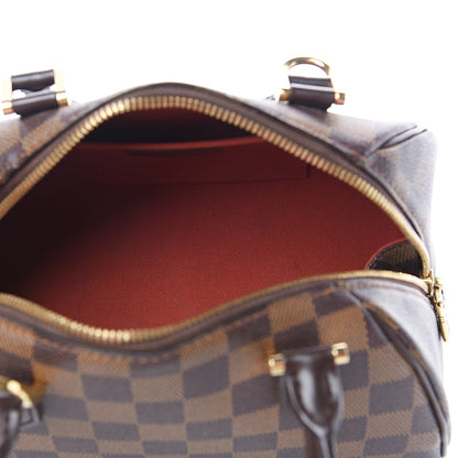 Louis Vuitton Damier Ebene Ribera Mini 7 of 8
