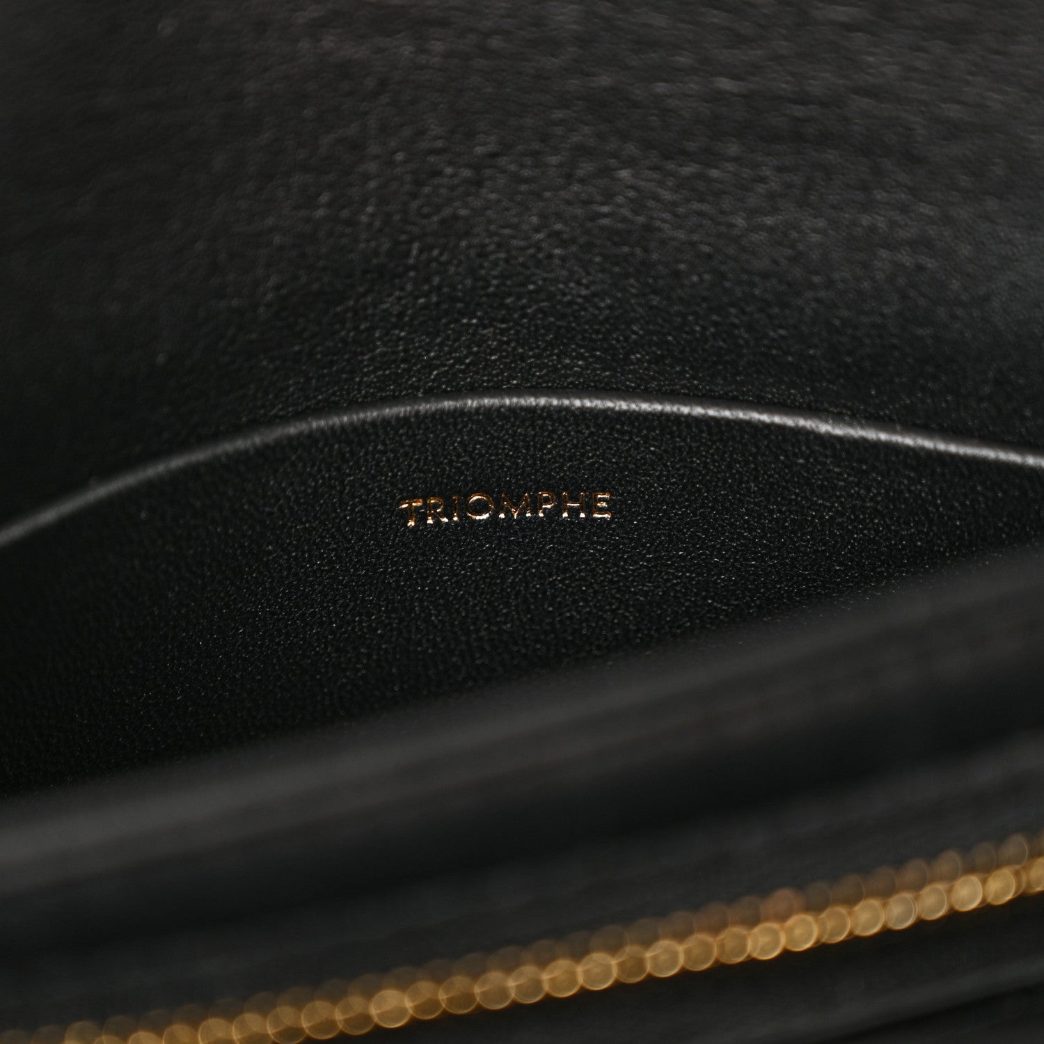Celine Shiny Calfskin Besace Clea Triomphe Black 7 of 12