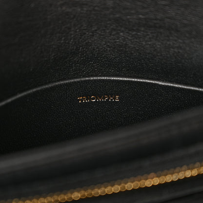 Celine Shiny Calfskin Besace Clea Triomphe Black 7 of 12