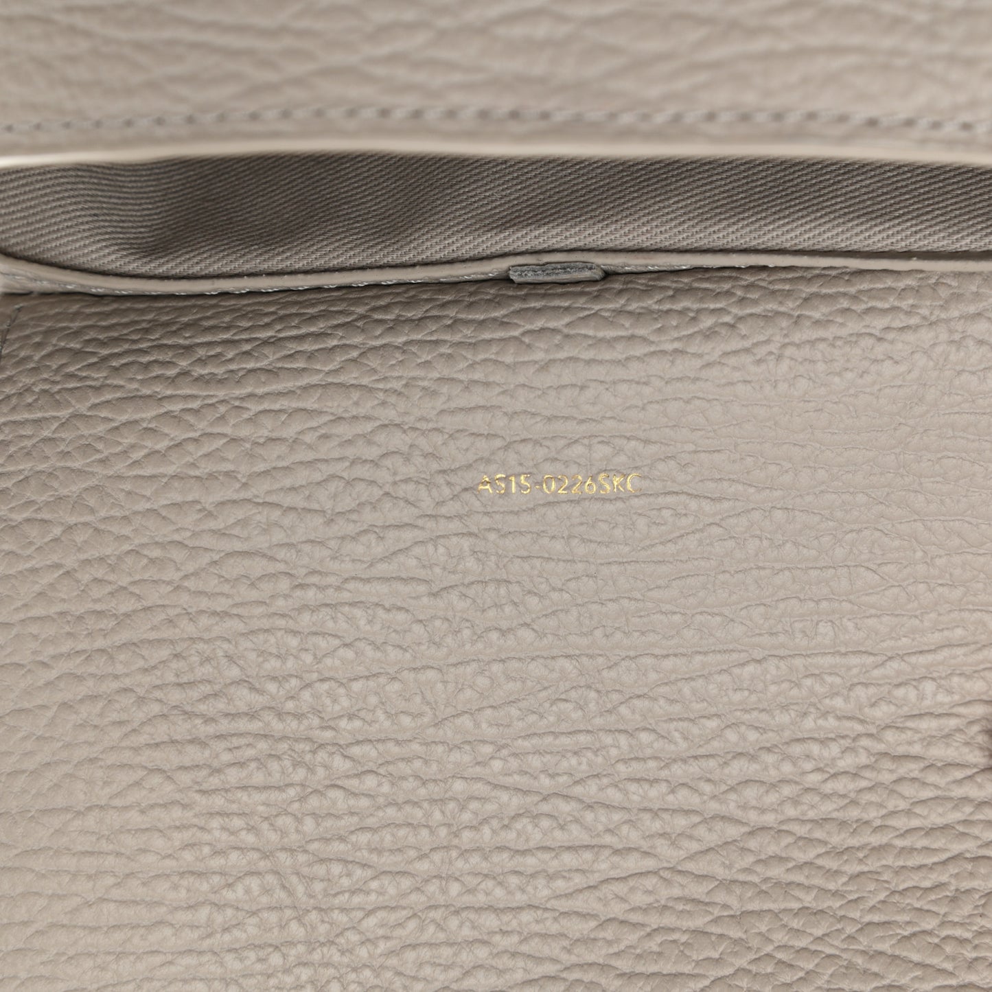 Textured Calfskin Mini Pashli Satchel Feather