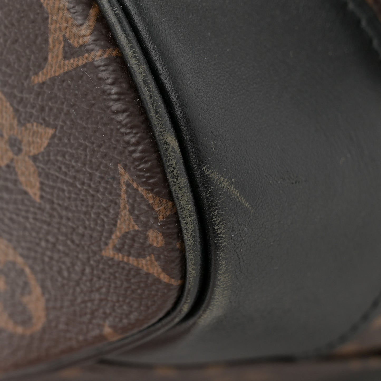 Monogram Macassar Christopher PM Backpack
