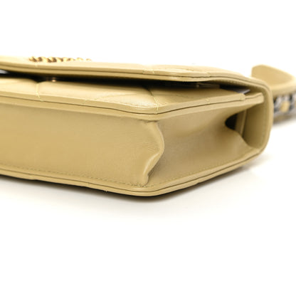 Chanel Lambskin Quilted Chanel 19 Wallet On Chain WOC Light Green 13 of 13