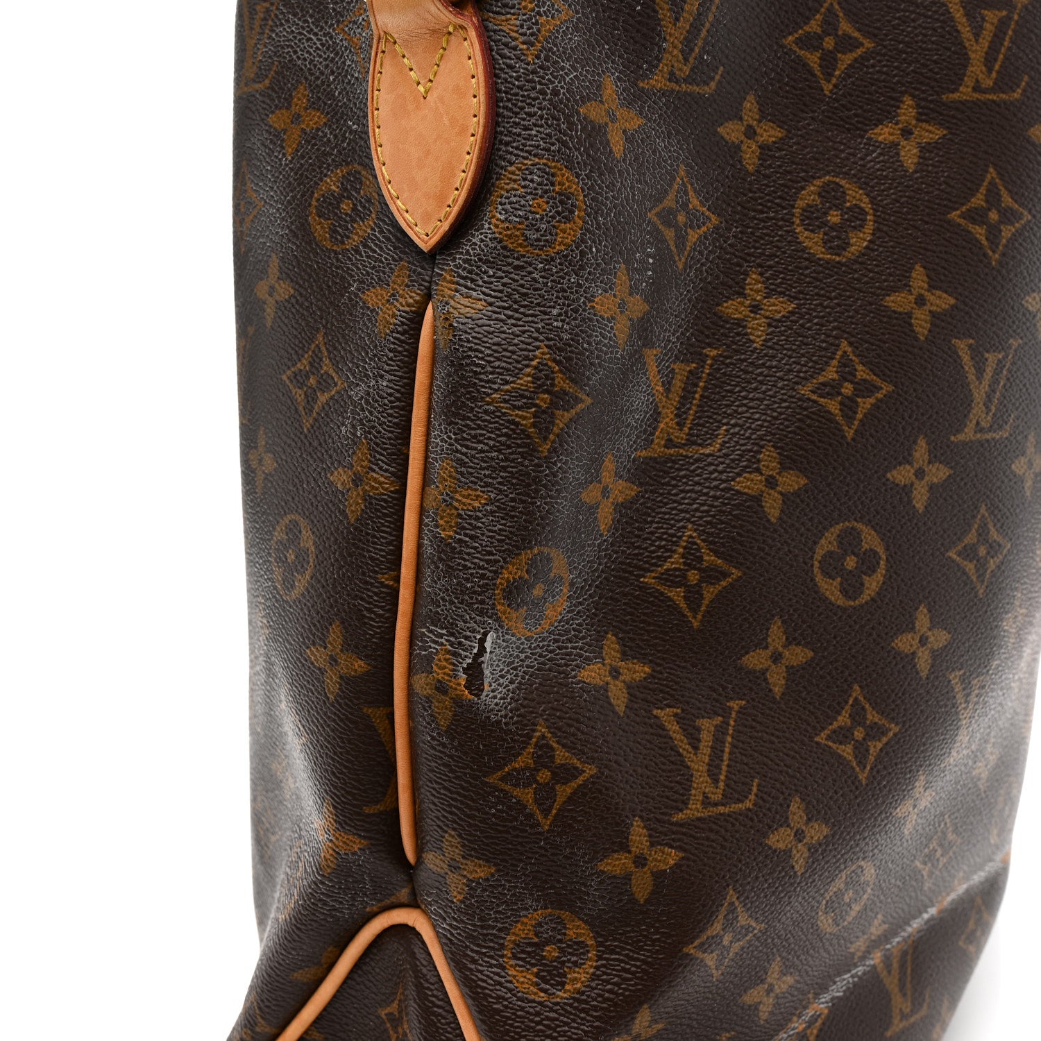 Louis Vuitton Monogram Delightful MM 15 of 15